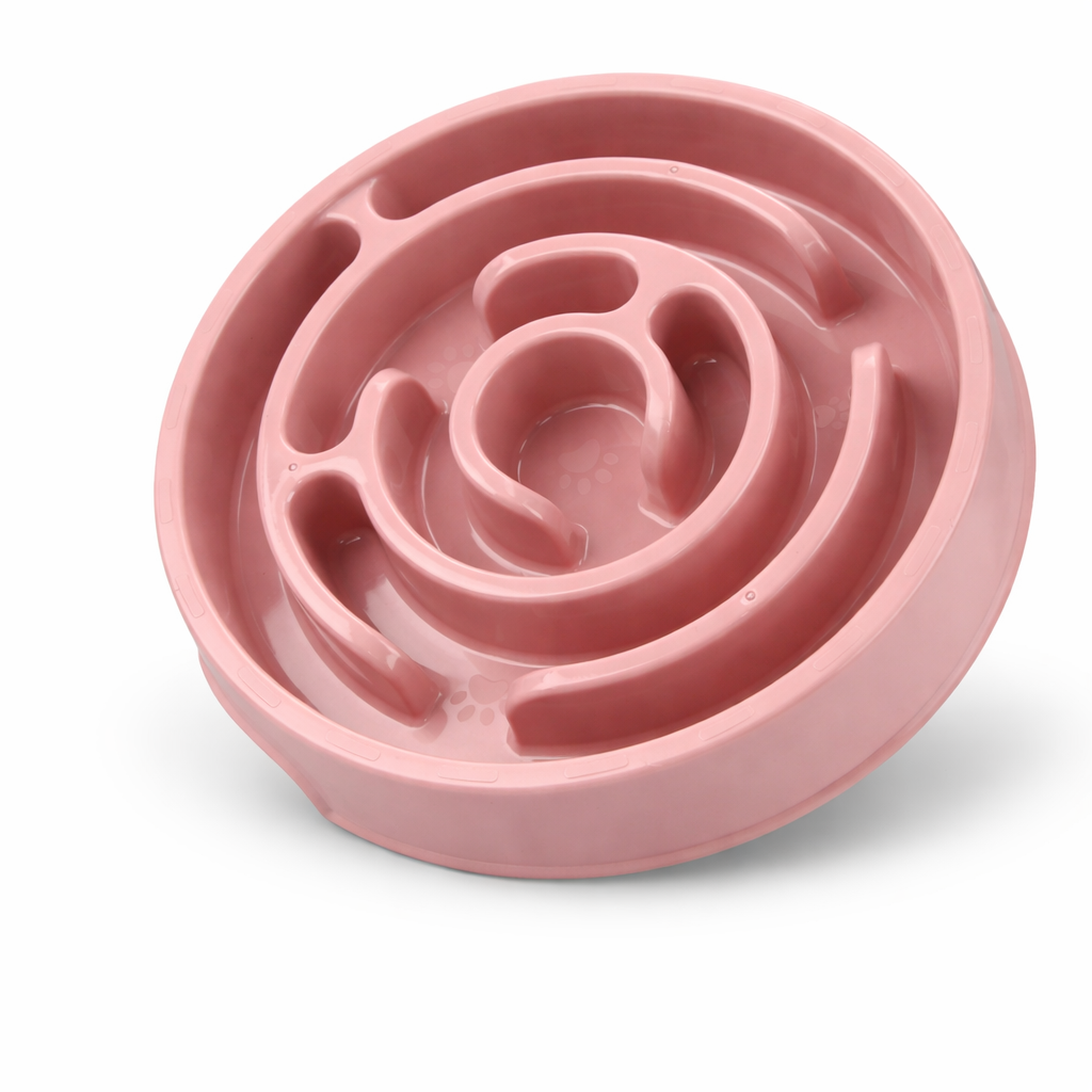 Slow Feeding Bowl